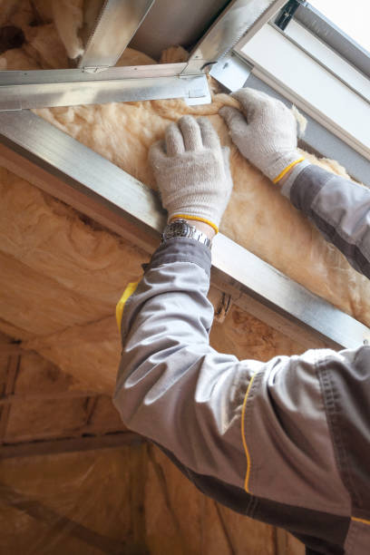 Best Local Insulation Services  in Wood Dale, IL