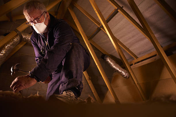 Best Insulation Repair Services  in Wood Dale, IL